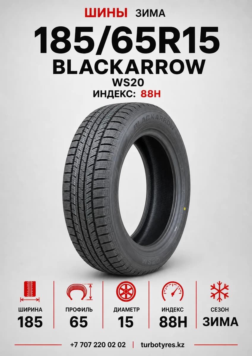 Blackarrow BlackArrow/ 185/65R15 88H WS20 185/65 R15