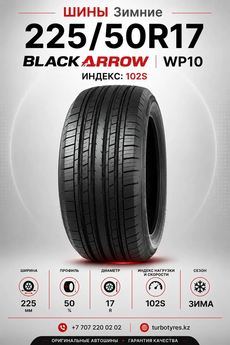 BlackArrow/ 225/50R17 98S WP10 - фото 1