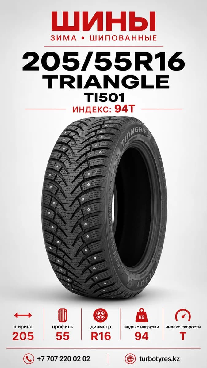 Triangle Triangle/ 205/55R16(TI501)94T 205/55 R16