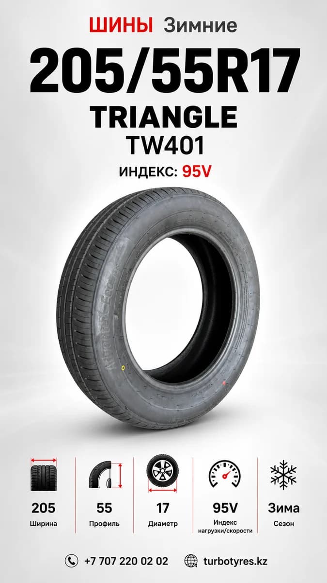 Triangle Triangle/ 205/55R17(TW401)95V 205/55 R17