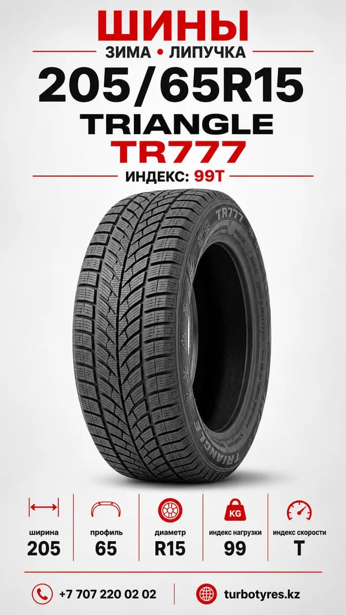 Triangle Triangle/ 205/65R15(TR777)99T 205/65 R15