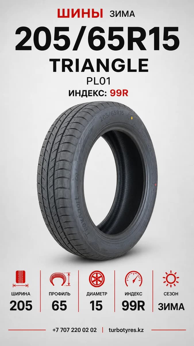 Triangle Triangle/ 205/65R15(TRIN PL01)99R 205/65 R15