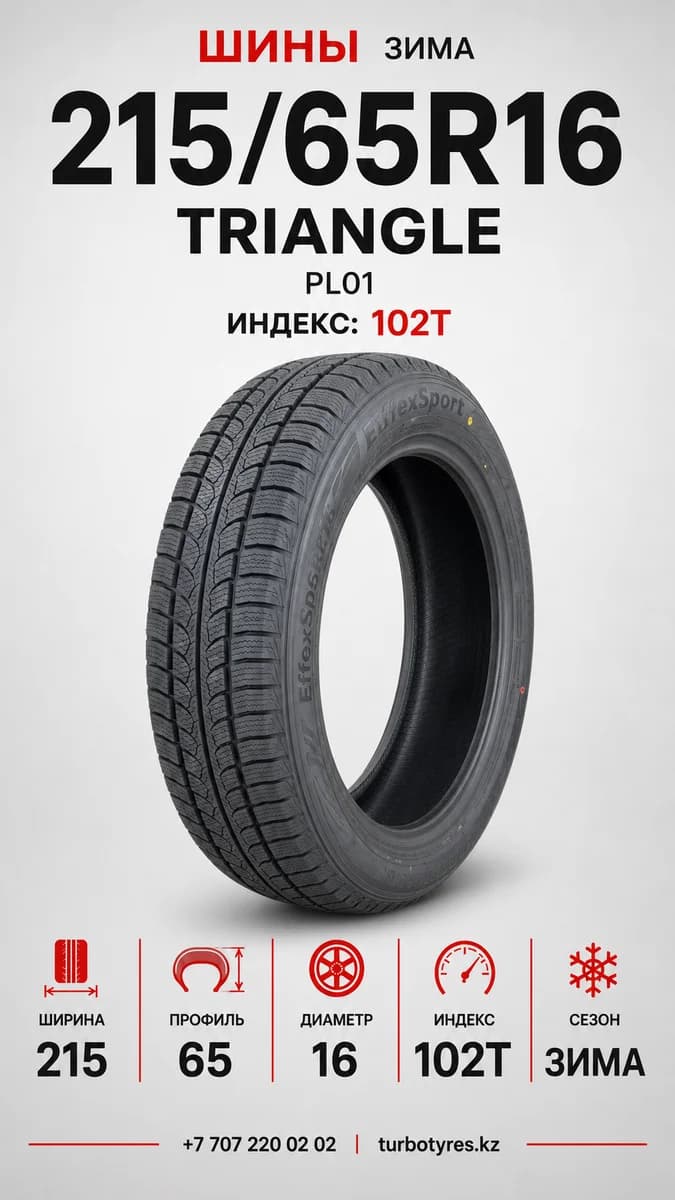 Triangle Triangle/ 215/65R16(TRIN PS01)102T 215/65 R16