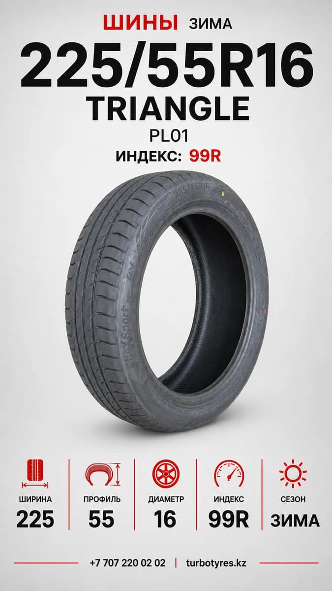 Triangle Triangle/ 225/55R16(TRIN PL01)99R 225/55 R16