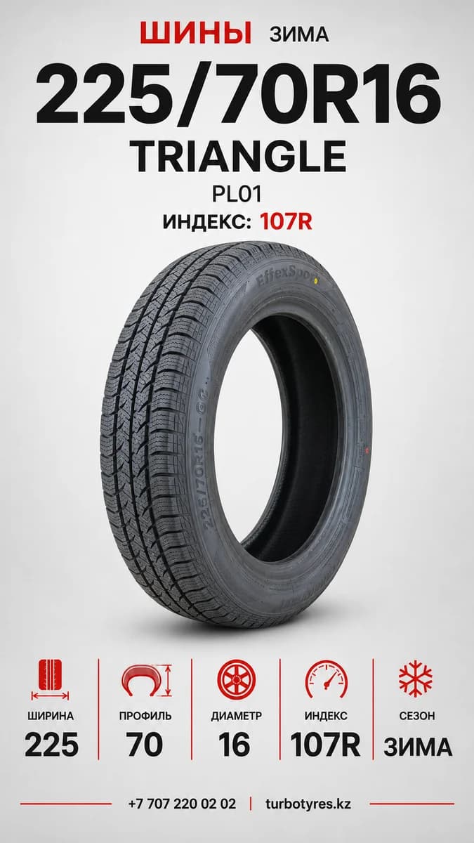 Triangle Triangle/ 225/70R16(TRIN PL01)107R 225/70 R16