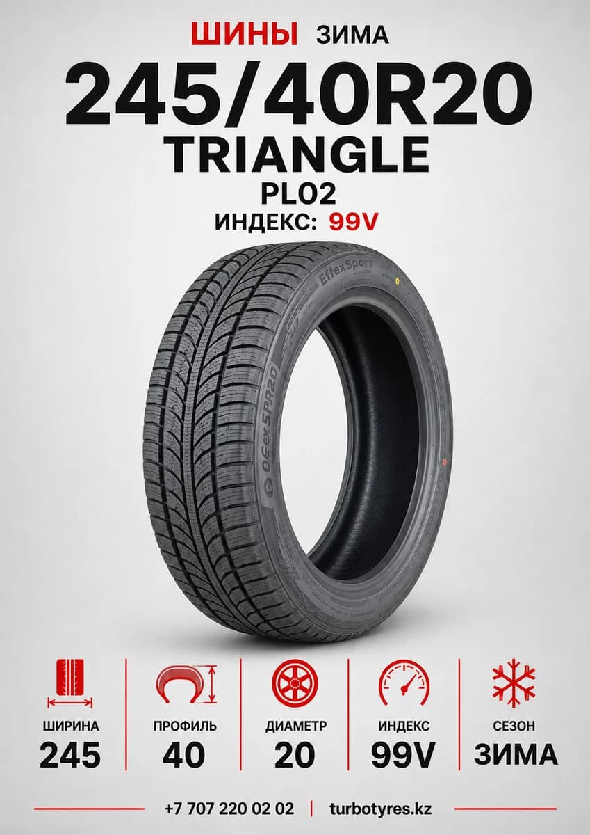 Triangle Triangle/ 245/40R20(TRIN PL02)99V 245/40 R20