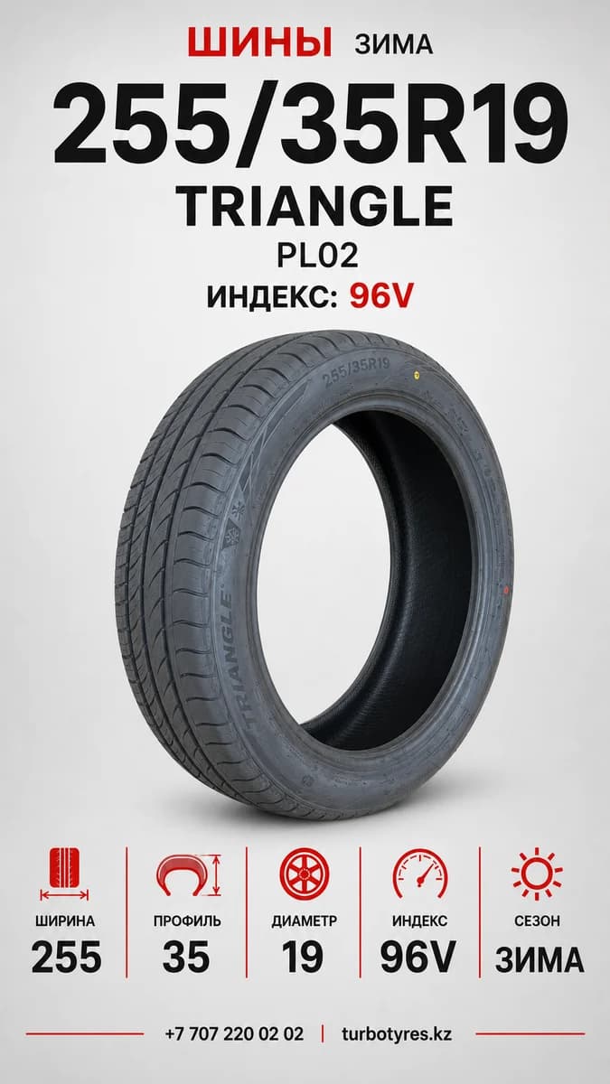 Triangle Triangle/ 255/35R19(TRIN PL02)96V 255/35 R19