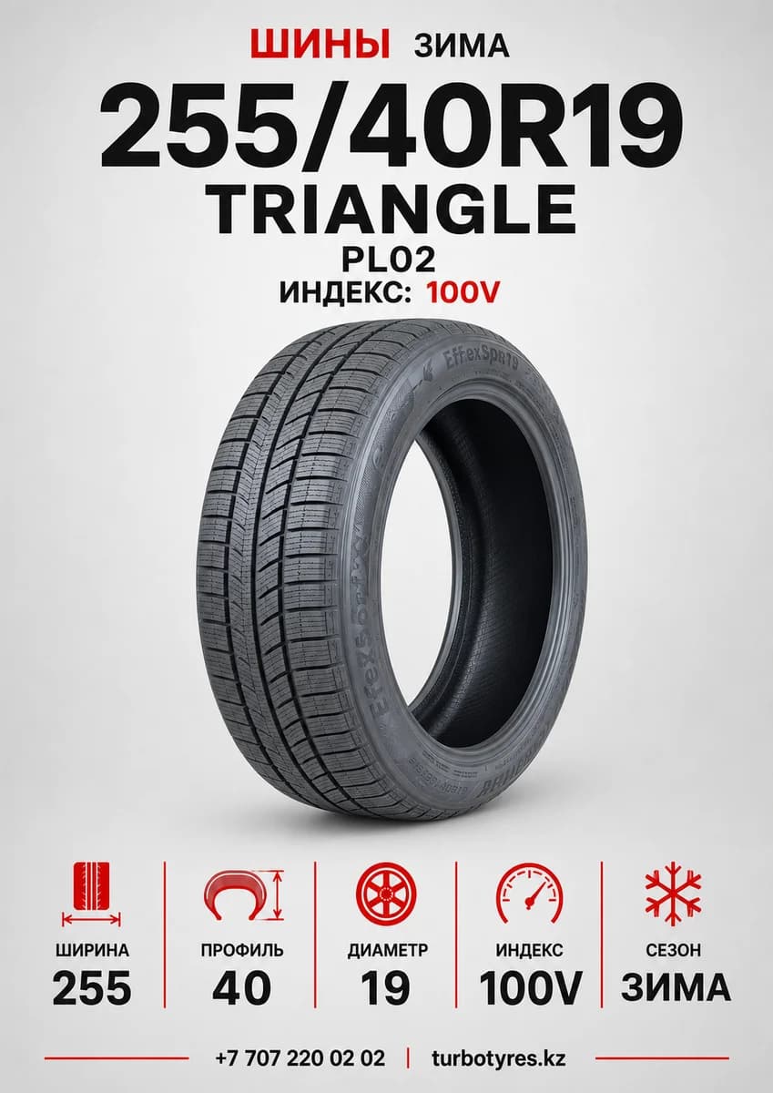 Triangle Triangle/ 255/40R19(TRIN PL02)100V 255/40 R19