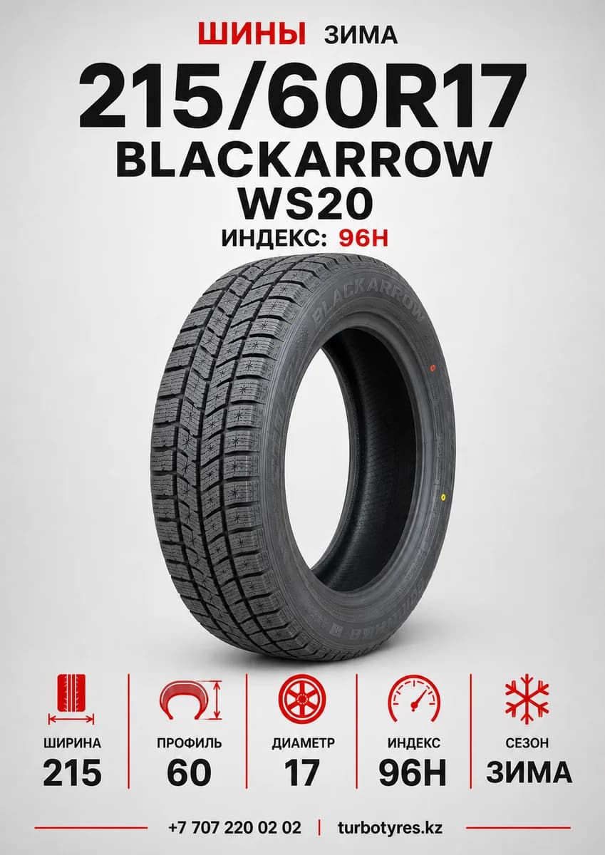 Blackarrow BlackArrow/ 215/60R17 96H WS20 215/60 R17