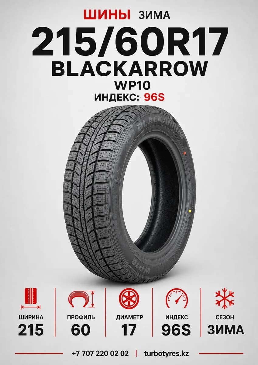 Blackarrow BlackArrow/ 215/60R17 96S WP10 215/60 R17