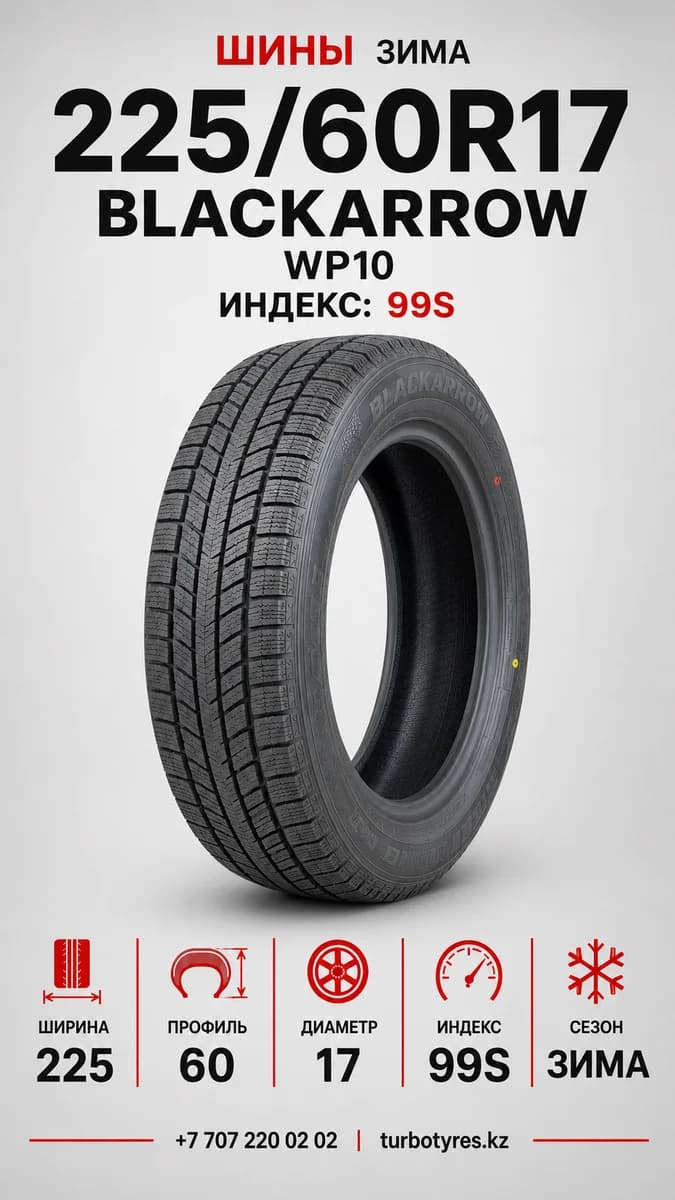 Blackarrow BlackArrow/ 225/60R17 99S WP10 225/60 R17
