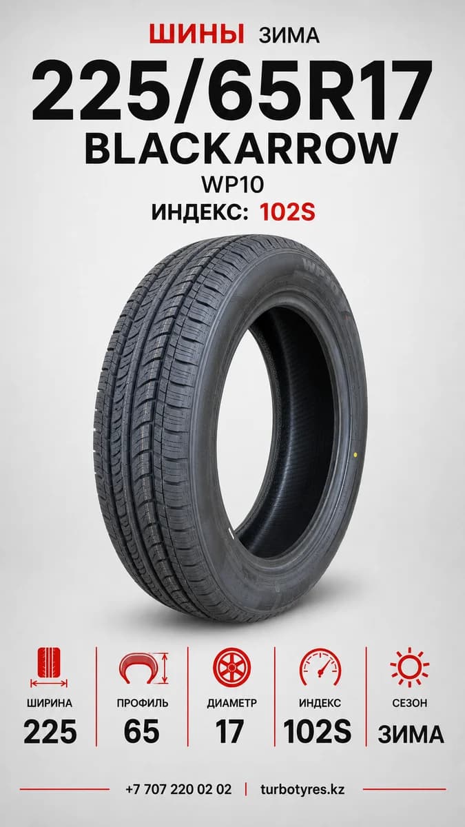 Blackarrow BlackArrow/ 225/65R17 102S WP10 225/65 R17