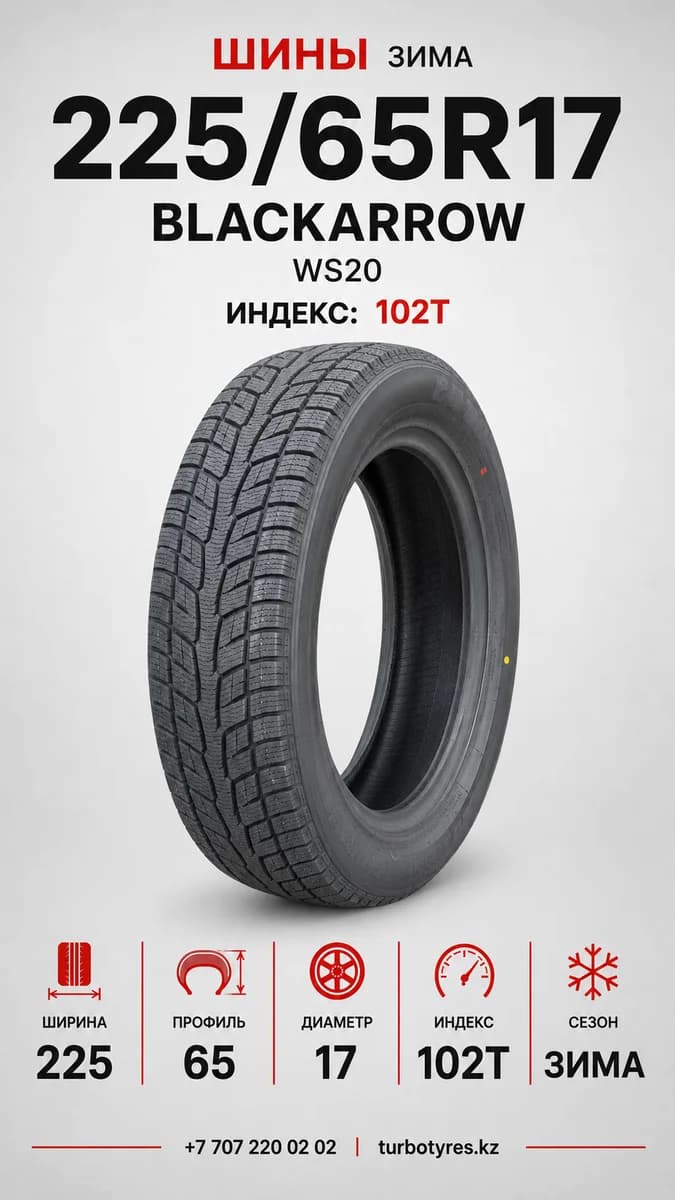Blackarrow BlackArrow/ 225/65R17 102T WS20 225/65 R17