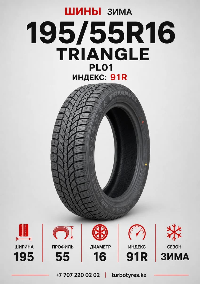 Triangle/ 195/55R16(TRIN PL01)91R
