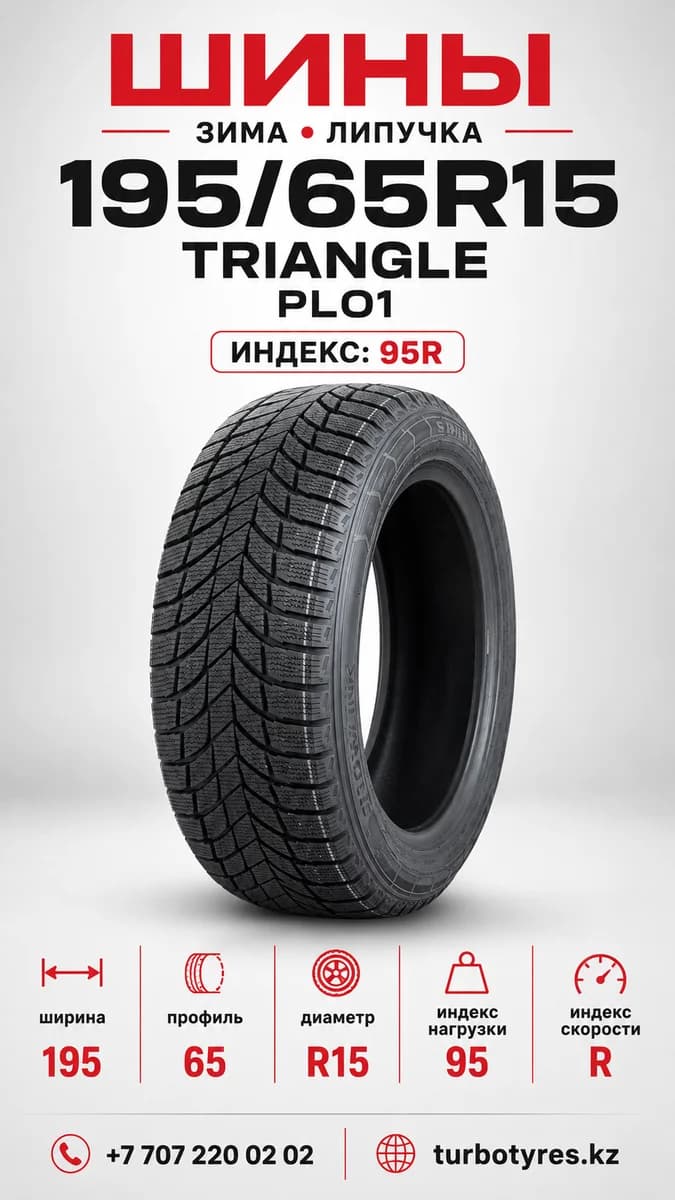 Triangle Triangle/ 195/65R15(TRIN PL01)95R 195/65 R15