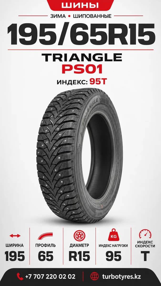Triangle Triangle/ 195/65R15(TRIN PS01)95T 195/65 R15