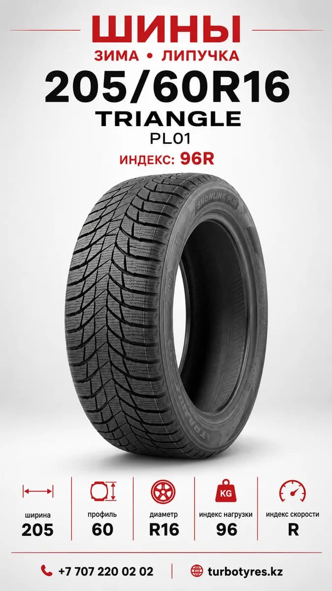 Triangle Triangle/ 205/60R16(TRIN PL01)96R 205/60 R16
